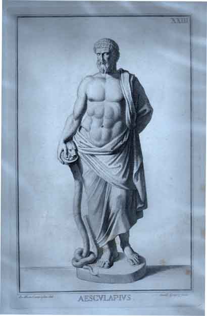 Aesculapius.  Pl. XXIII.