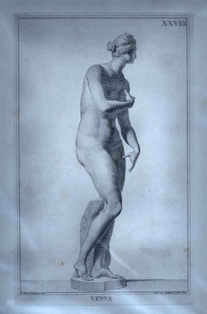 Venus.  Pl. XXVIII.