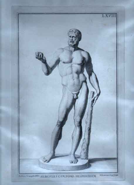 Hercules Cumpomis Hesperidum.  Pl. LXVIII.